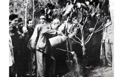 Bác Hồ với “Tết trồng cây”